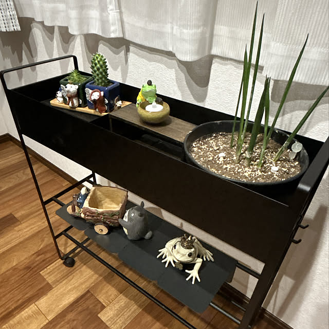yunyumさんの部屋