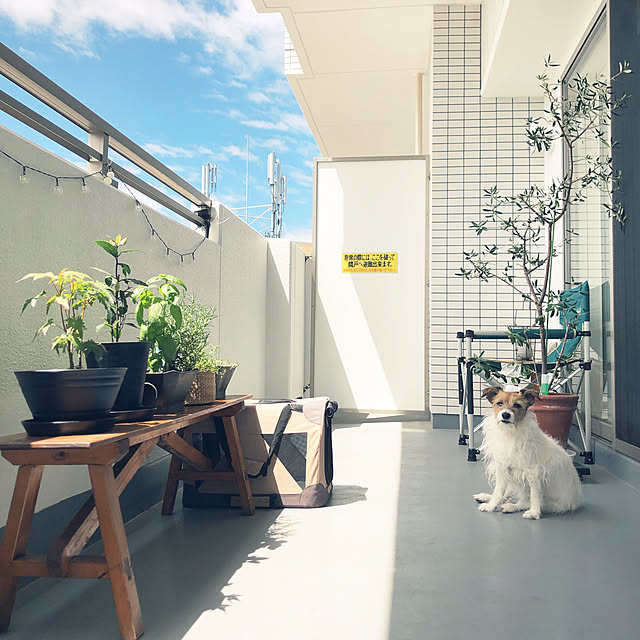 toto.ikさんの実例写真