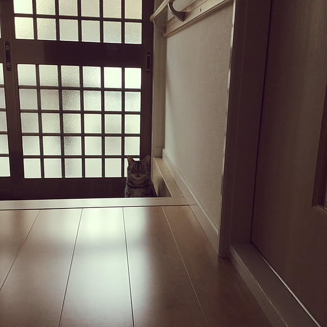 richanさんの実例写真
