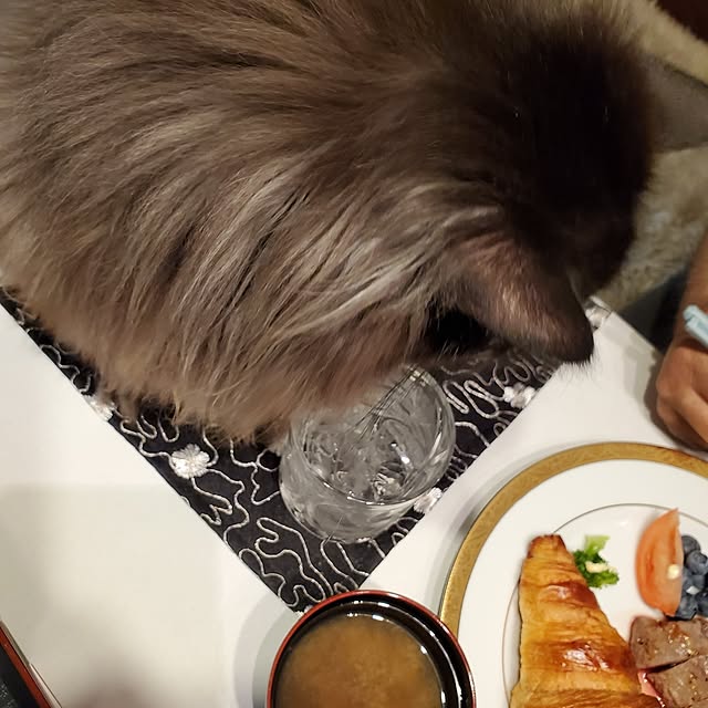 muku+maroさんの部屋