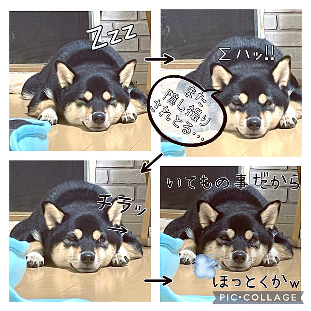 mo-nosukeさんの実例写真