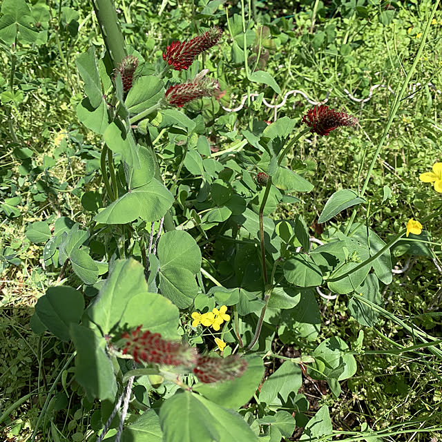 romiromiさんの実例写真