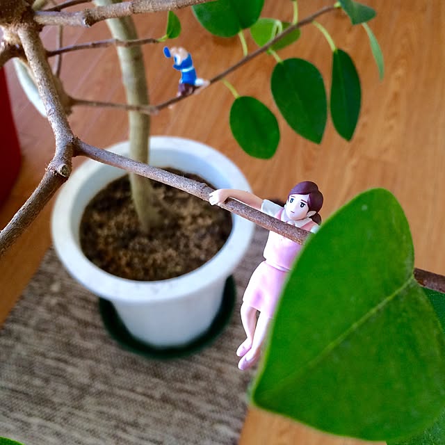 kiritorunoさんの実例写真