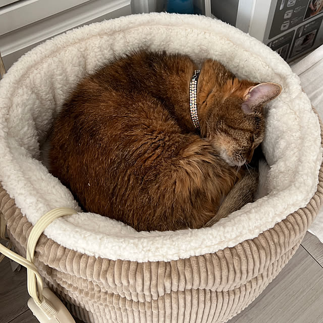 blue.with.whiteさんの実例写真