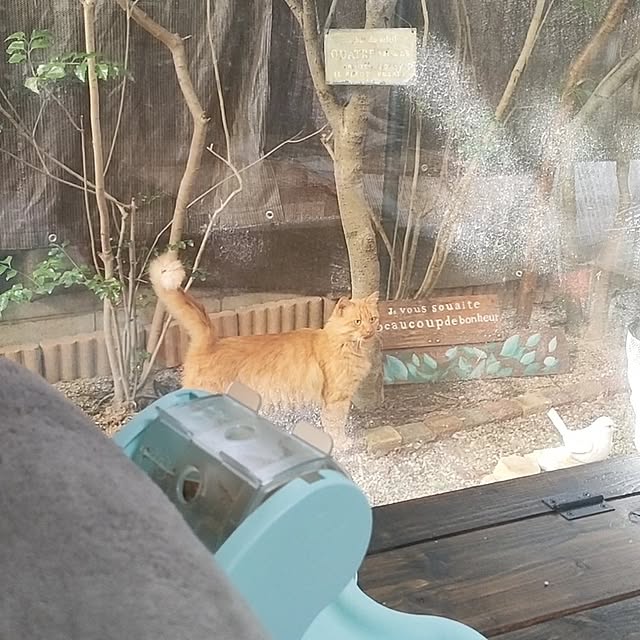mori_6_12さんの部屋