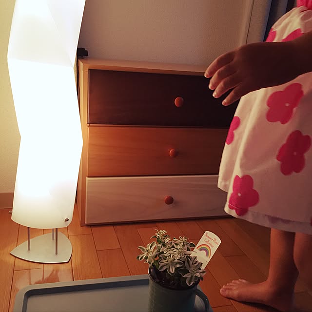 322_toraさんの実例写真