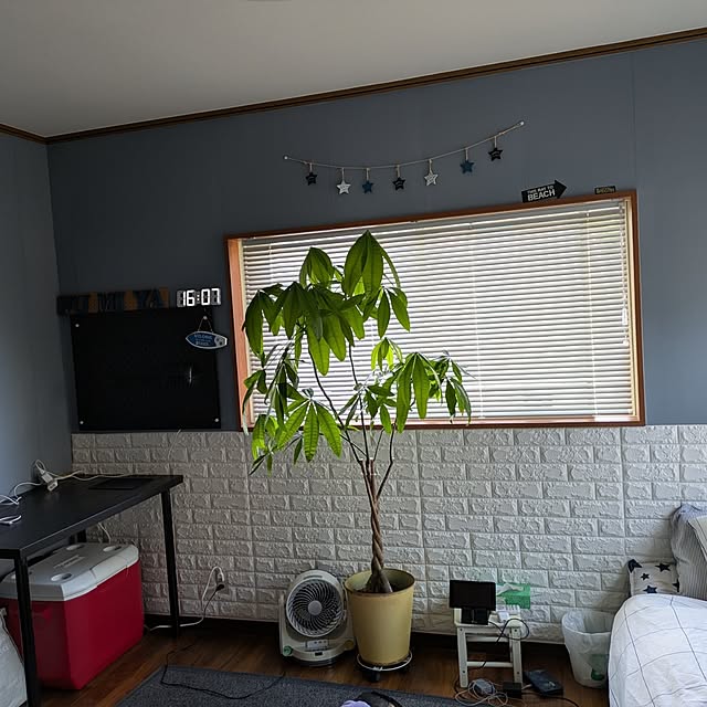 kojiさんの部屋