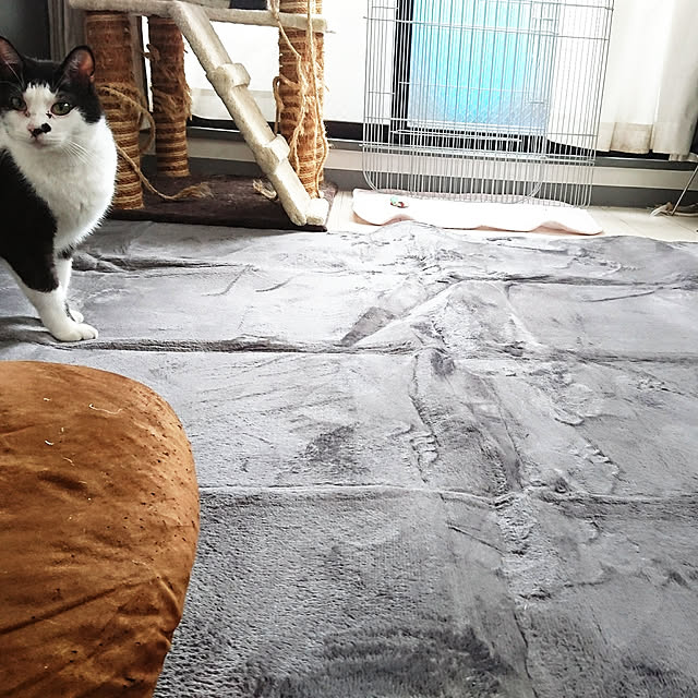 tobiさんの実例写真