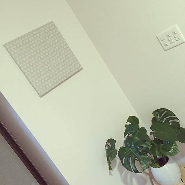 Tanaさんの実例写真