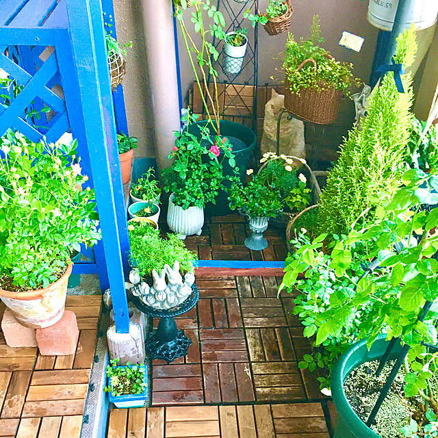 naokoさんの部屋