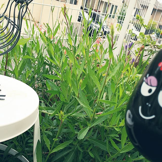 tomoppさんの実例写真