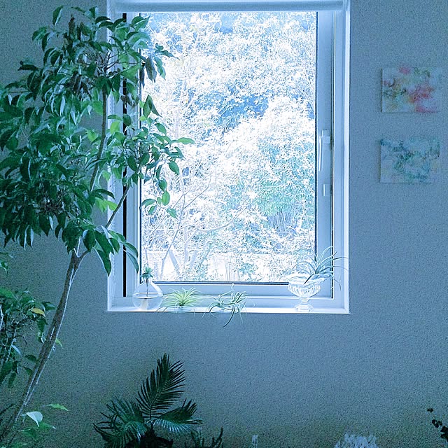 masami.hさんの実例写真