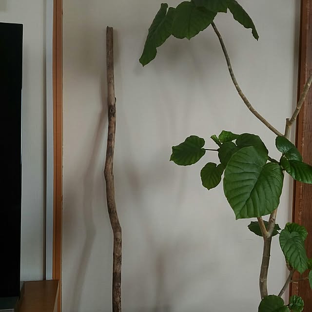 masami23yさんの実例写真