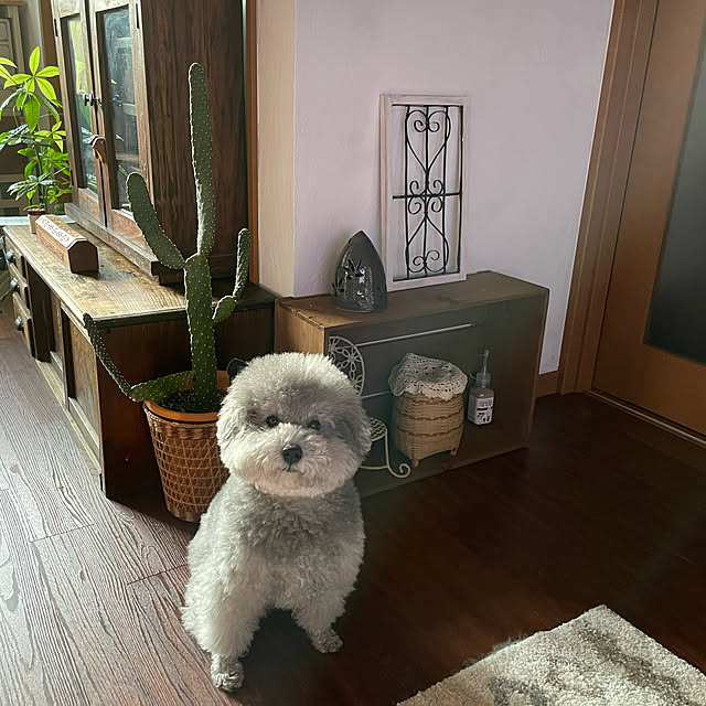 meguko.ryanさんの実例写真