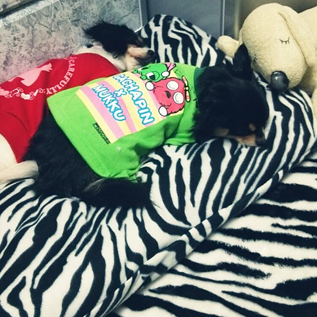 hirohiro44さんの実例写真