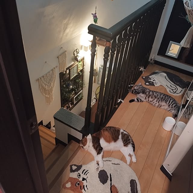 hiro3さんの実例写真