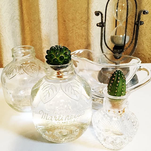 kaoru.m11さんの実例写真