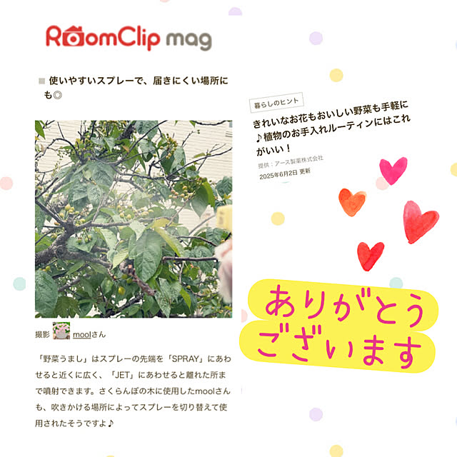 moolさんの実例写真