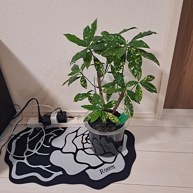 yurisanさんの実例写真