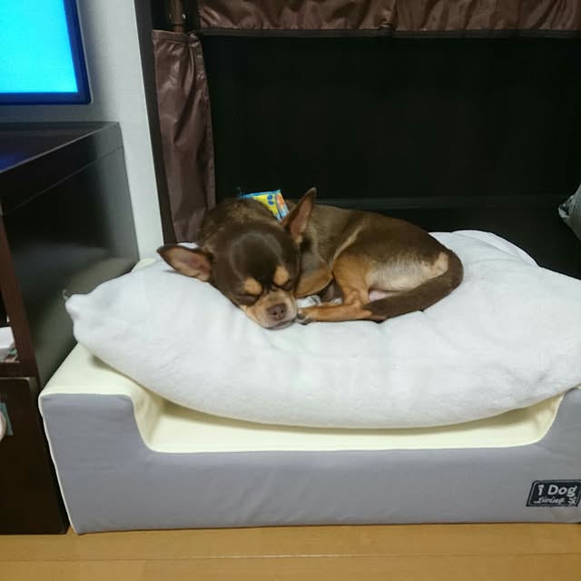 noeさんの実例写真