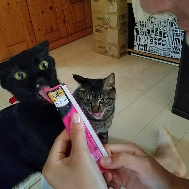 k-ai323さんの実例写真