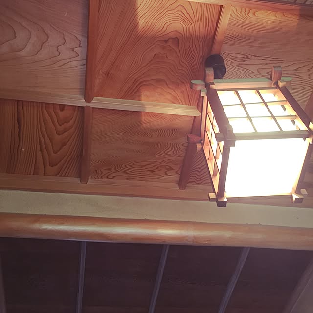 otukaresanさんの実例写真