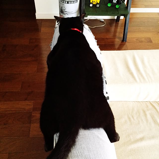 Kitakoさんの実例写真