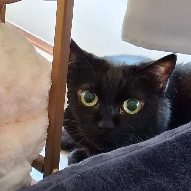 moko.7525himeさんの部屋