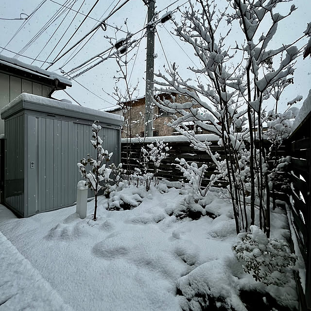 tamabaka1971さんの部屋