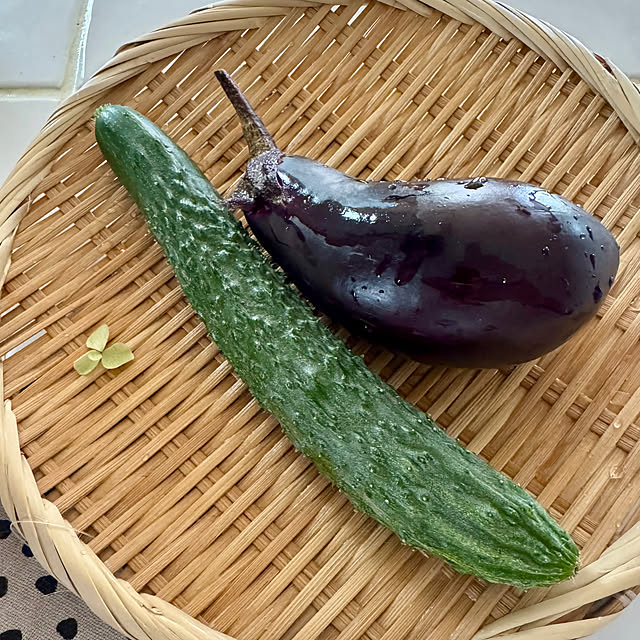 67さんの部屋