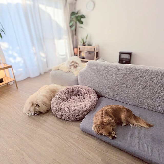 noahさんの部屋