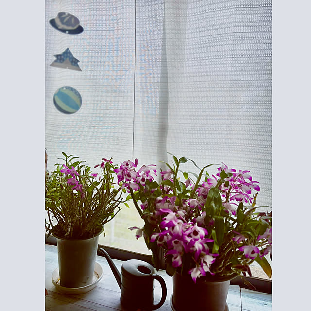 CoCo0617さんの部屋