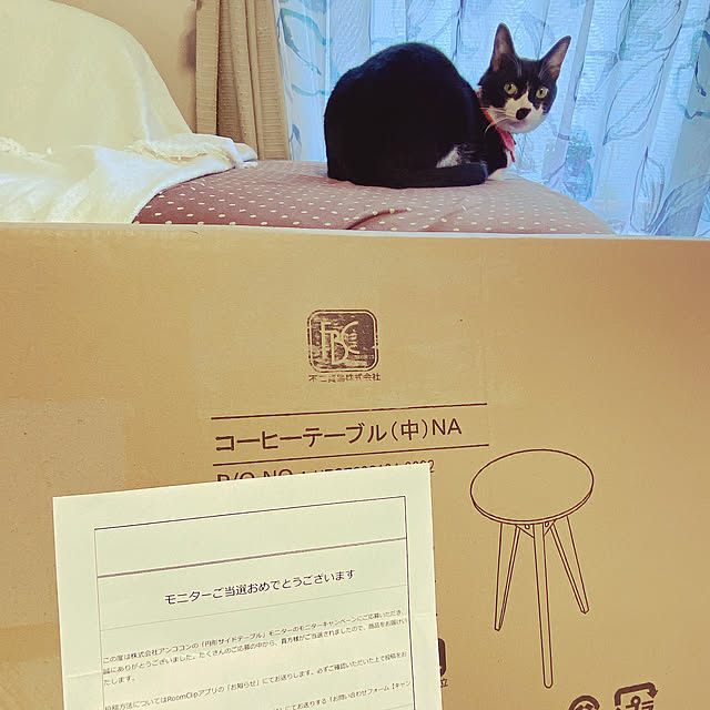 moolさんの実例写真