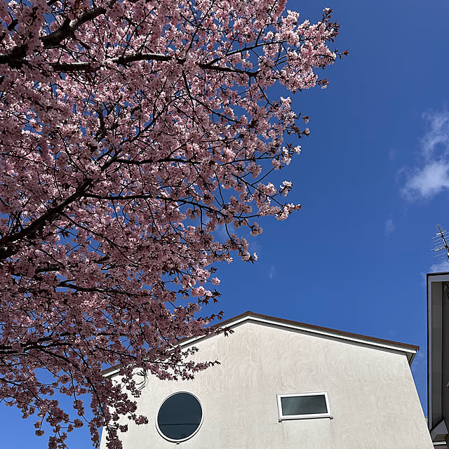 hanahana1444さんの部屋