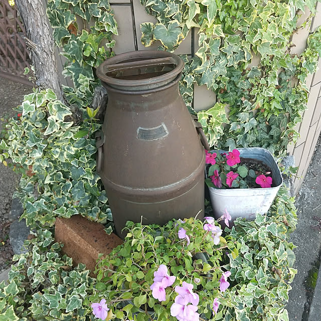 rassesachi.1231さんの実例写真