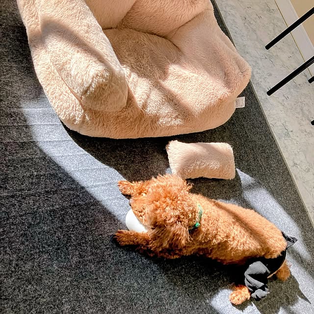 MOMOMAMAさんの実例写真