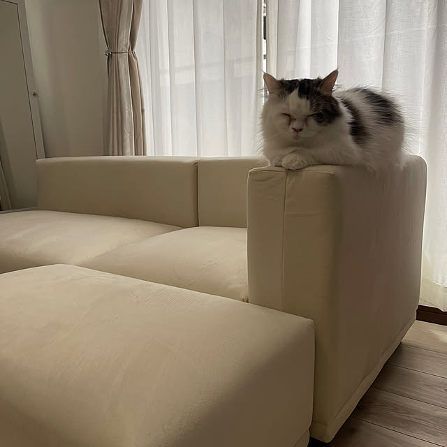 nyannyanさんの実例写真