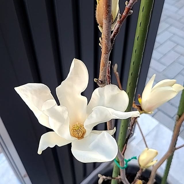 Rubiconさんの実例写真