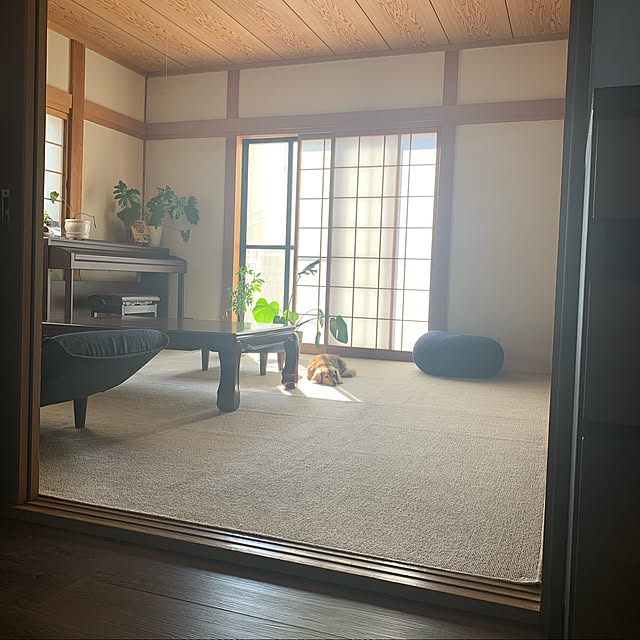 yu-ka-naさんの実例写真