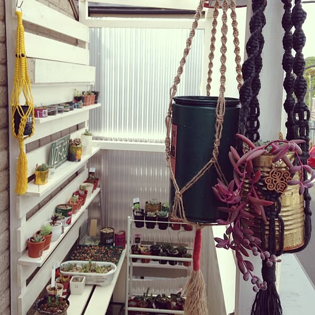 yonaminkoさんの部屋