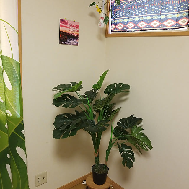 exileingkさんの実例写真