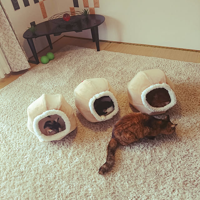 uchizukonyanさんの実例写真