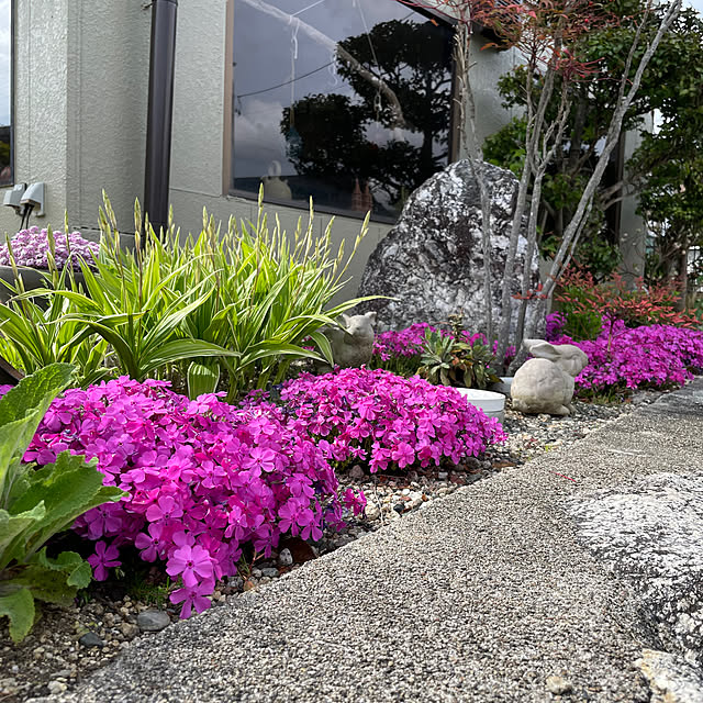 shin0719さんの部屋