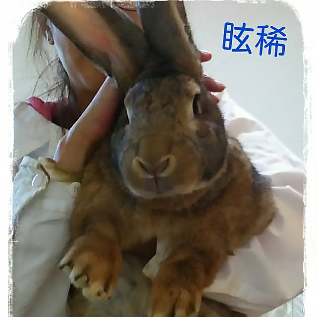 Mikaさんの実例写真