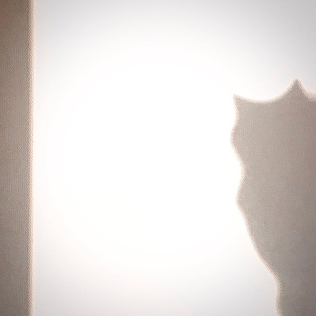 nobikoさんの実例写真