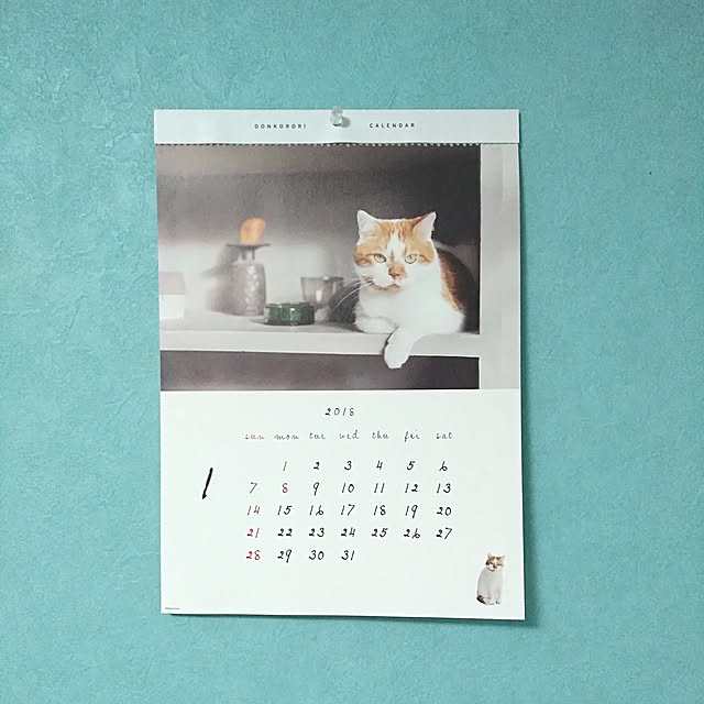 Aliceさんの実例写真