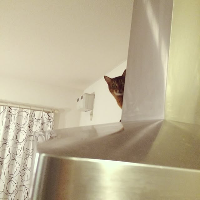 Yumiさんの実例写真