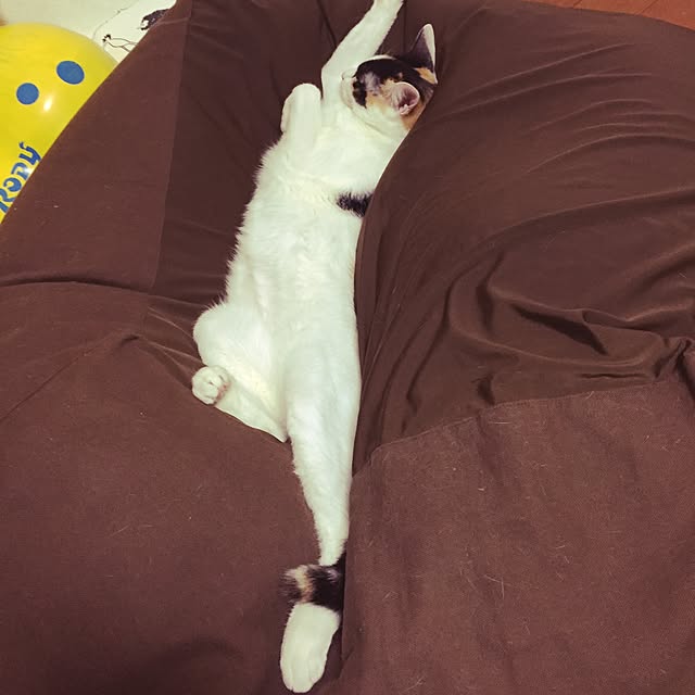 beruさんの実例写真