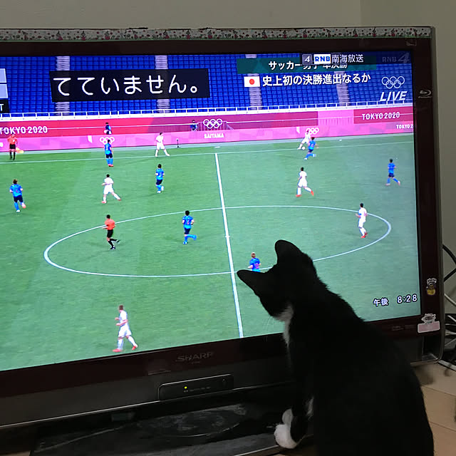 nekoさんの実例写真