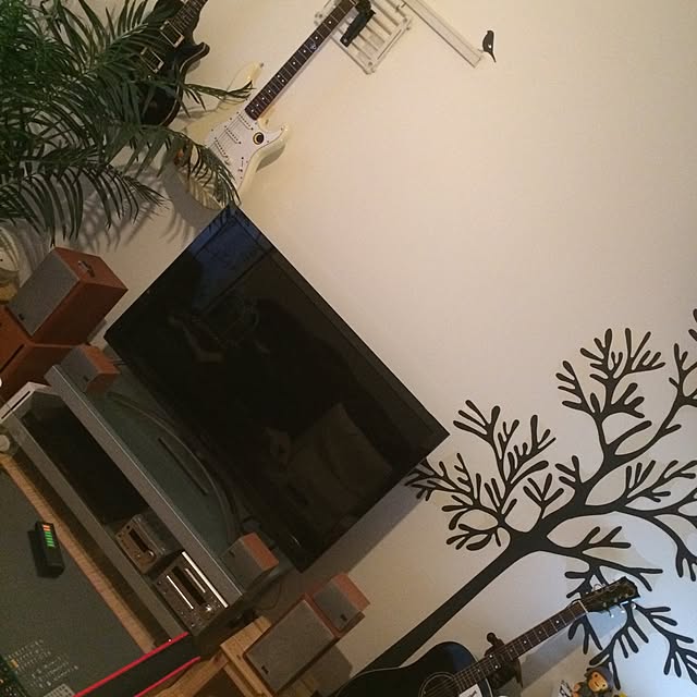 zariさんの実例写真